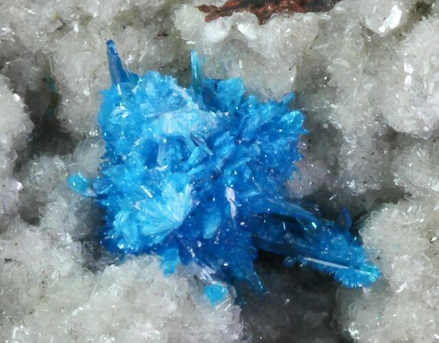 Vibrant Blue Cavansite Cluster on Stilbite - India #67788